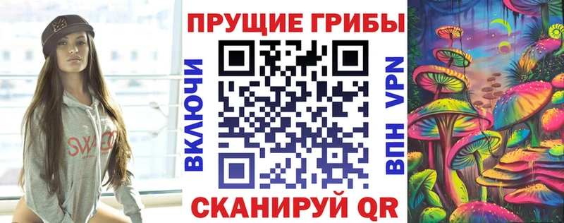 omg зеркало  Оленегорск  shop состав  купить закладку  Псилоцибиновые грибы мицелий 